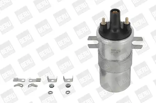 запалителна бобина BorgWarner (BERU) ZS568