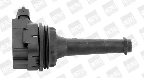 запалителна бобина BorgWarner (BERU) ZSE019