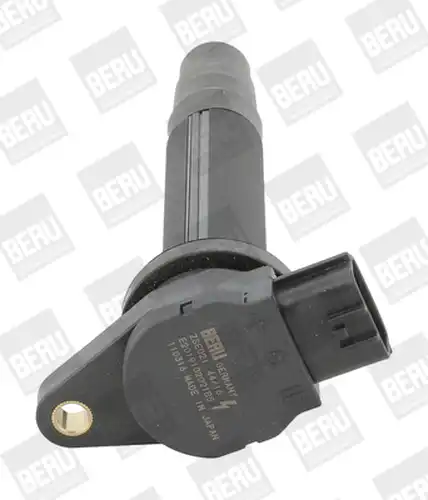 запалителна бобина BorgWarner (BERU) ZSE021