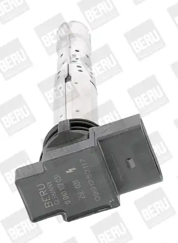 запалителна бобина BorgWarner (BERU) ZSE031