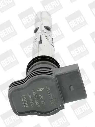 запалителна бобина BorgWarner (BERU) ZSE043