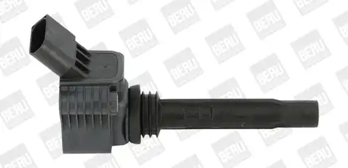 запалителна бобина BorgWarner (BERU) ZSE067