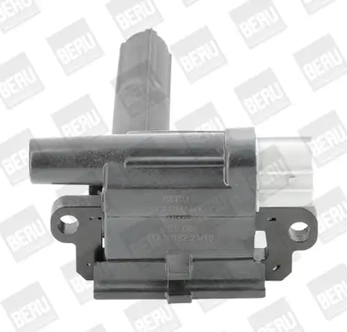 запалителна бобина BorgWarner (BERU) ZSE069