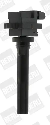 запалителна бобина BorgWarner (BERU) ZSE072