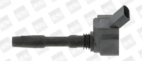 запалителна бобина BorgWarner (BERU) ZSE137