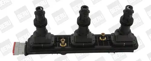 запалителна бобина BorgWarner (BERU) ZSE153