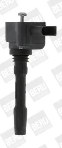 запалителна бобина BorgWarner (BERU) ZSE163