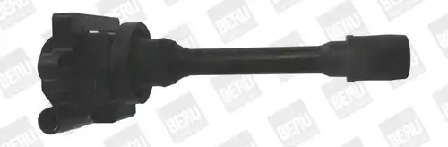 запалителна бобина BorgWarner (BERU) ZSE179