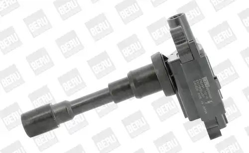 запалителна бобина BorgWarner (BERU) ZSE181