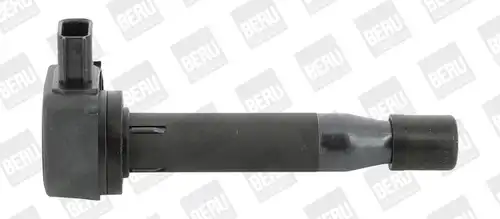 запалителна бобина BorgWarner (BERU) ZSE183