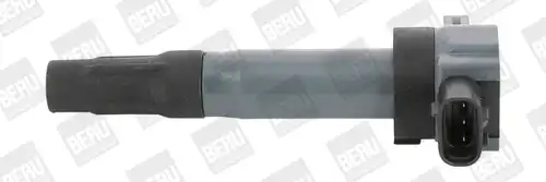 запалителна бобина BorgWarner (BERU) ZSE189