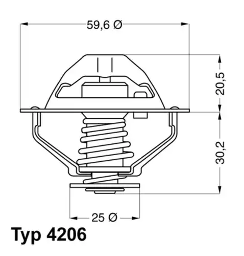 термостат, охладителна течност BorgWarner (Wahler) 4206.90D