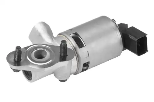 AGR-Клапан BorgWarner (Wahler) 710631D