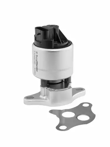 AGR-Клапан BorgWarner (Wahler) 712051D/1