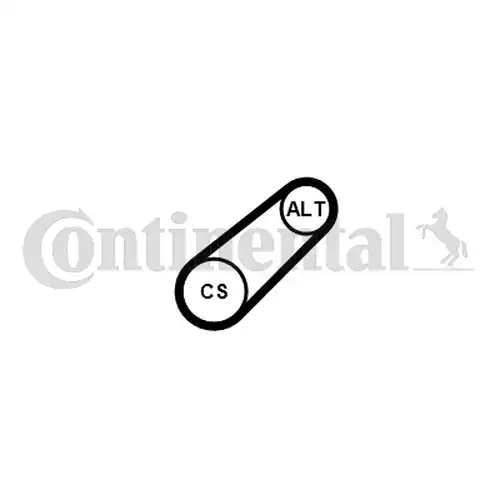 комплект пистов ремък CONTINENTAL CTAM 6PK701 ELAST T1