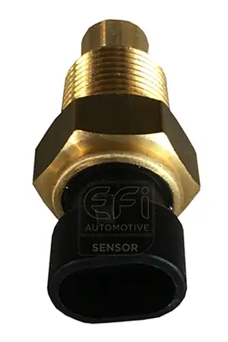 датчик, температура на охладителната течност EFI AUTOMOTIVE 295067