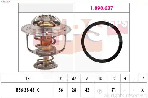 термостат, охладителна течност EPS 1.880.650
