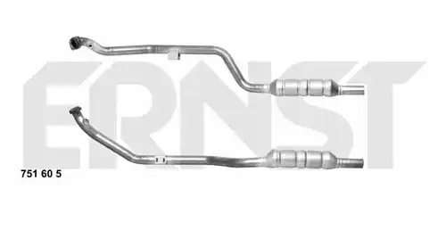 катализатор ERNST 751605