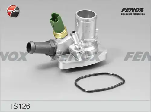 термостат, охладителна течност FENOX TS126