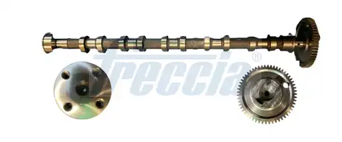 разпределителен вал FRECCIA CM05-2369