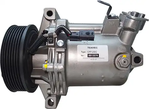  FRIESEN FRC13076