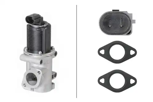 AGR-Клапан HELLA 6NU 010 171-541