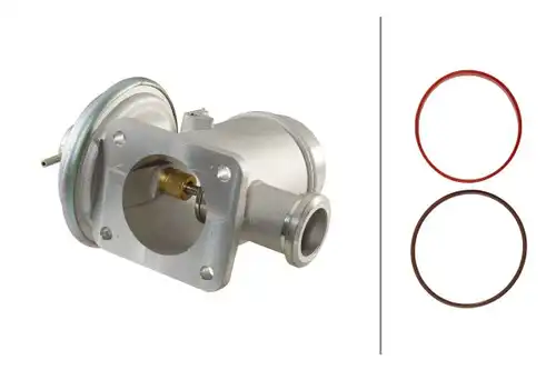AGR-Клапан HELLA 6NU 010 171-691