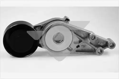 обтящна ролка, пистов ремък HUTCHINSON T0039