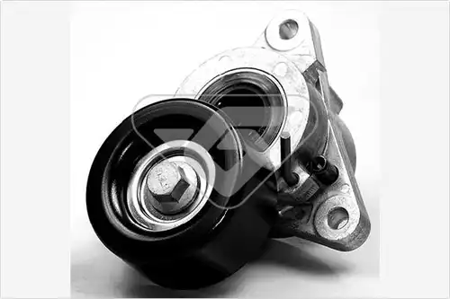 обтящна ролка, пистов ремък HUTCHINSON T0058