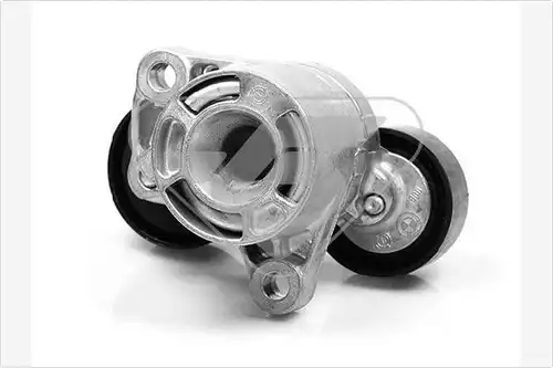 обтящна ролка, пистов ремък HUTCHINSON T0065