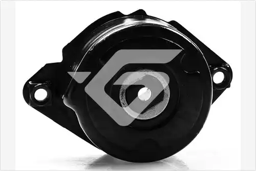 обтящна ролка, пистов ремък HUTCHINSON T0078