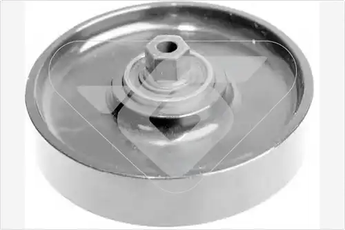 паразитна/ водеща ролка, пистов ремък HUTCHINSON T0228