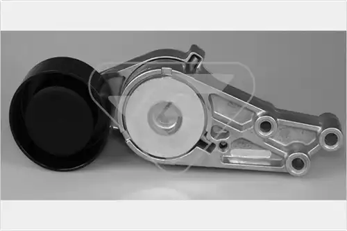 обтящна ролка, пистов ремък HUTCHINSON T0244