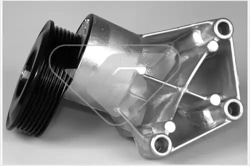 обтящна ролка, пистов ремък HUTCHINSON T0310