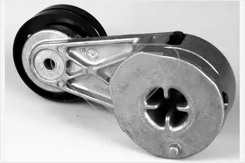 обтящна ролка, пистов ремък HUTCHINSON T0329