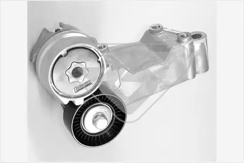 обтящна ролка, пистов ремък HUTCHINSON T0338