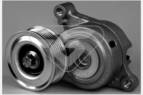 обтящна ролка, пистов ремък HUTCHINSON T0421