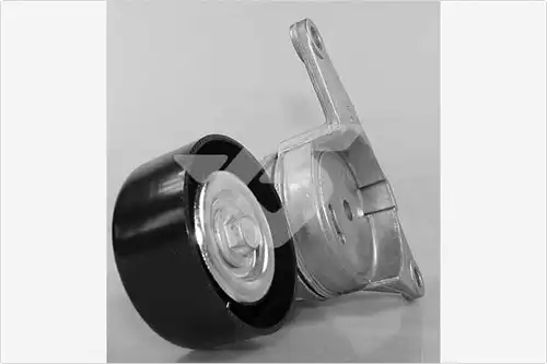 обтящна ролка, пистов ремък HUTCHINSON T0473