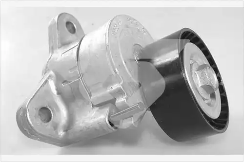 обтящна ролка, пистов ремък HUTCHINSON T0555