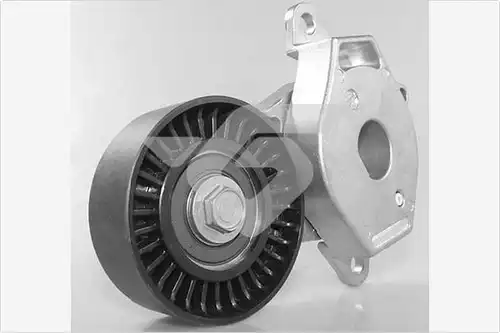 обтящна ролка, пистов ремък HUTCHINSON T0563