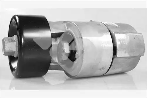 обтящна ролка, пистов ремък HUTCHINSON T0568