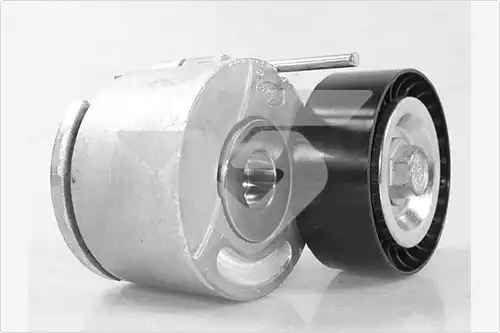 обтящна ролка, пистов ремък HUTCHINSON T0572