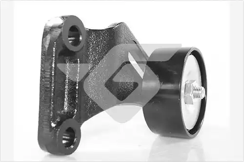 обтящна ролка, пистов ремък HUTCHINSON T0590