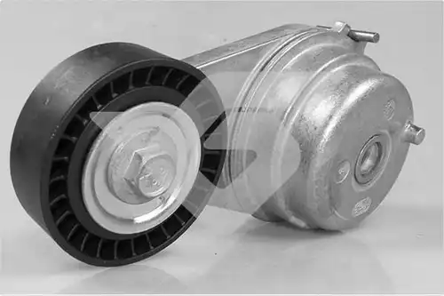 обтящна ролка, пистов ремък HUTCHINSON T0613