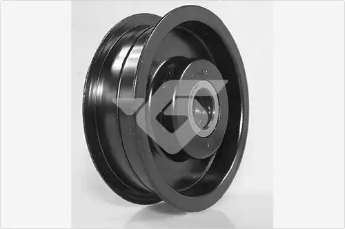 паразитна/ водеща ролка, пистов ремък HUTCHINSON T0620