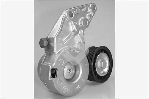 обтящна ролка, пистов ремък HUTCHINSON T0634