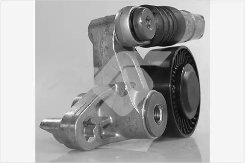 обтящна ролка, пистов ремък HUTCHINSON T0636