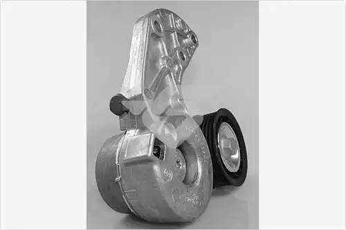 обтящна ролка, пистов ремък HUTCHINSON T0650