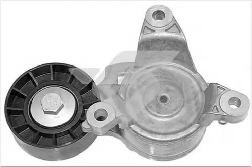 обтящна ролка, пистов ремък HUTCHINSON T0656