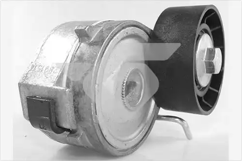 обтящна ролка, пистов ремък HUTCHINSON T0669